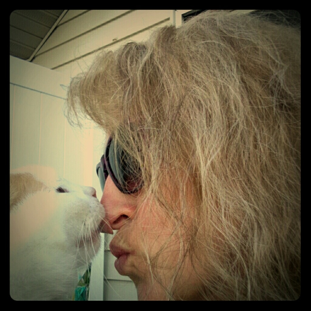 Meet your Posher, Lovey